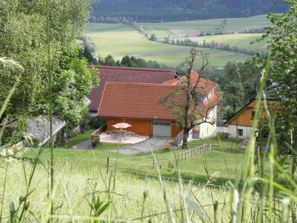 Waldner'S Ferienwohnung Hermagor-Pressegger See Exterior photo